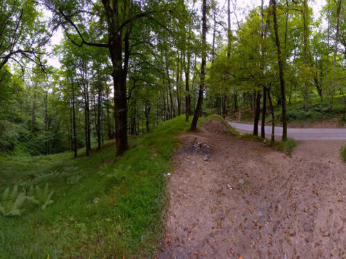 جنگل دالخانی رامسر