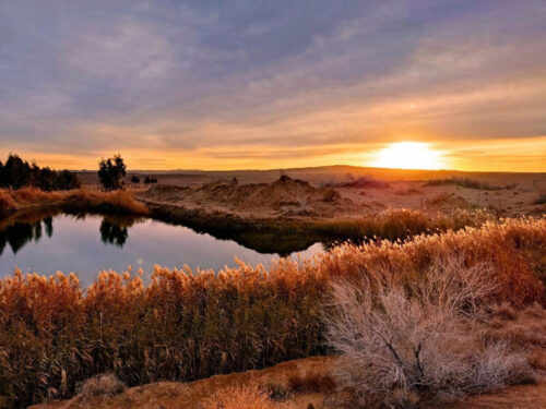 چاه عروس گوهری در بیابان