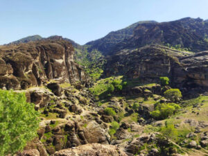 مخمل کوه لرستان